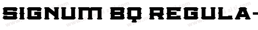 Signum BQ Regula字体转换